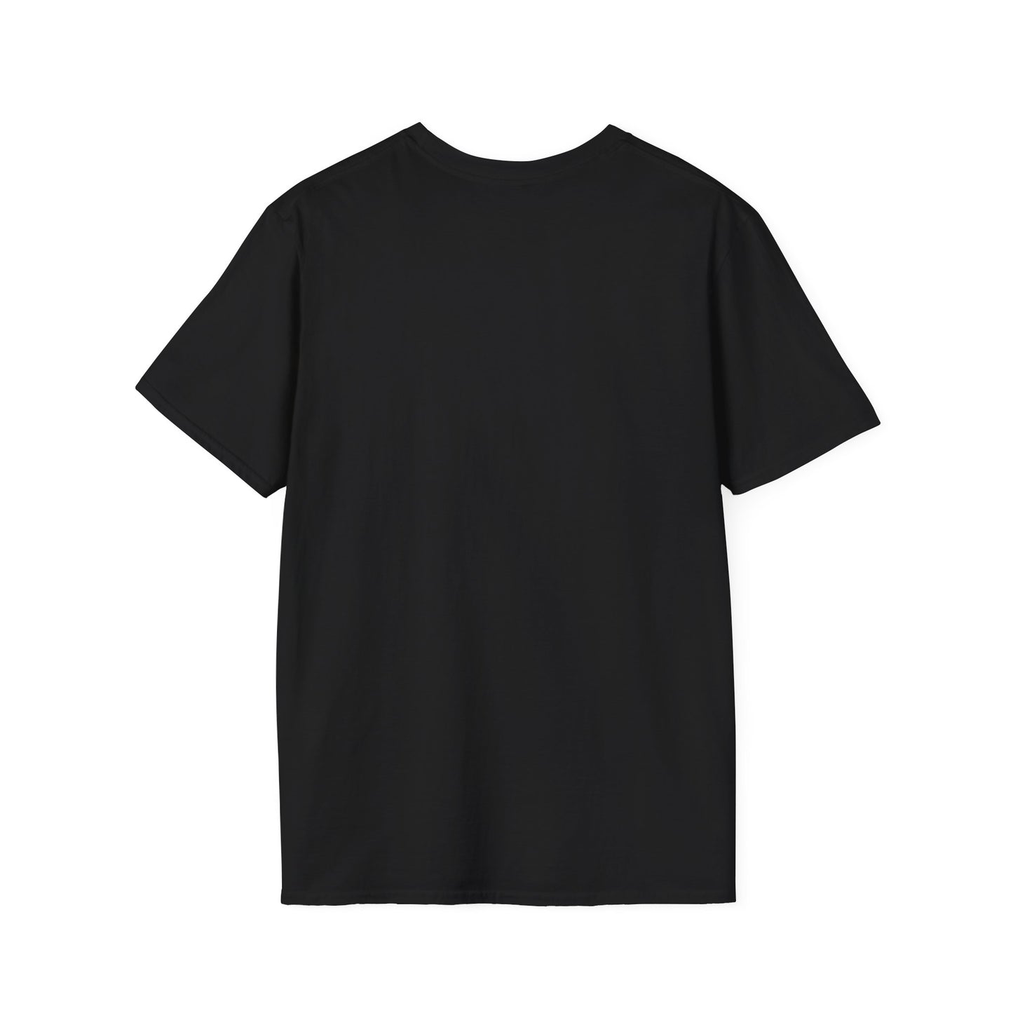 FCA Falcons Softstyle T-Shirt, Christian Academy Tee, Unisex Falcon Shirt, School Spirit Apparel, Gift for Students