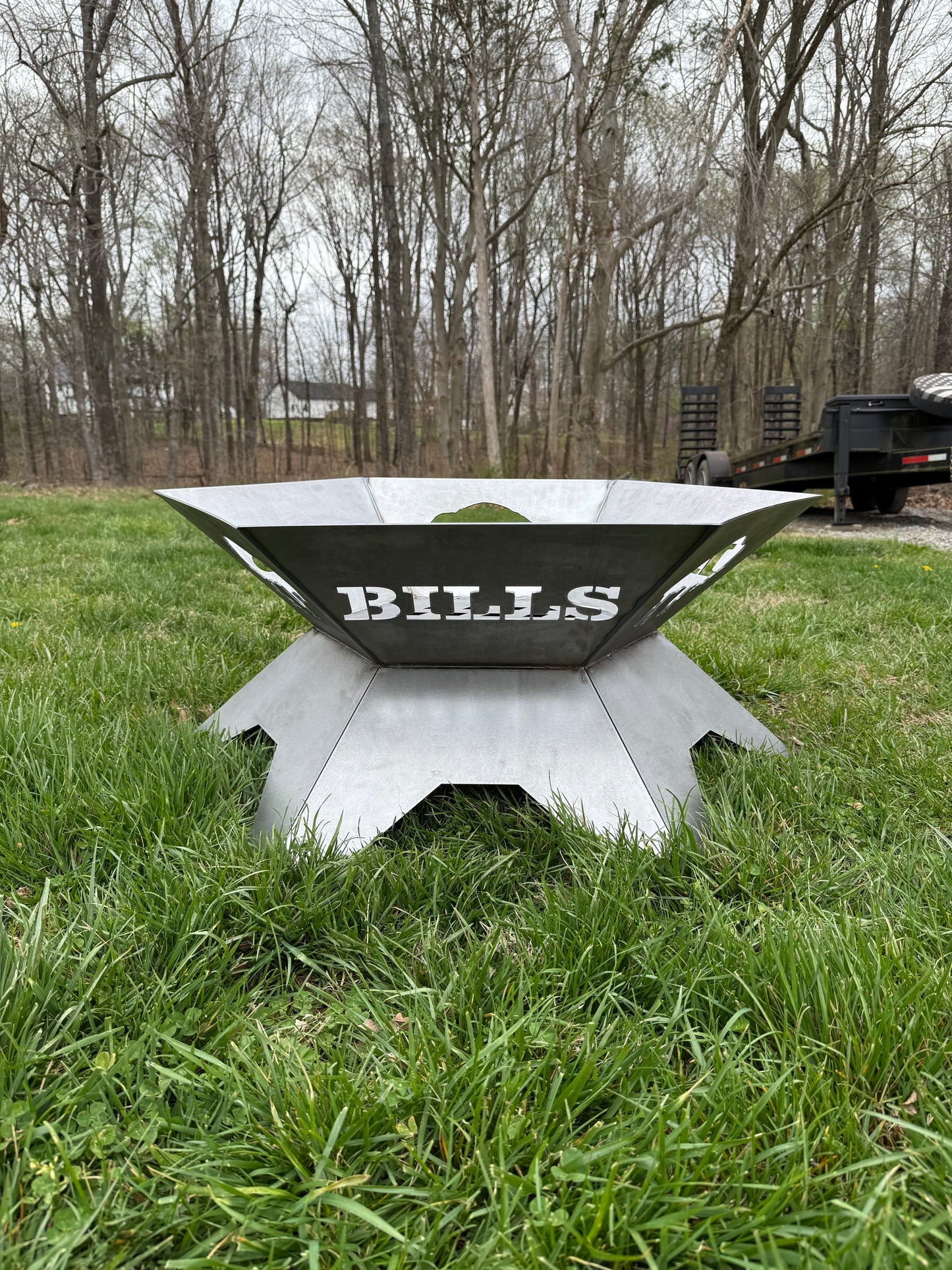 Buffalo Fire Pit