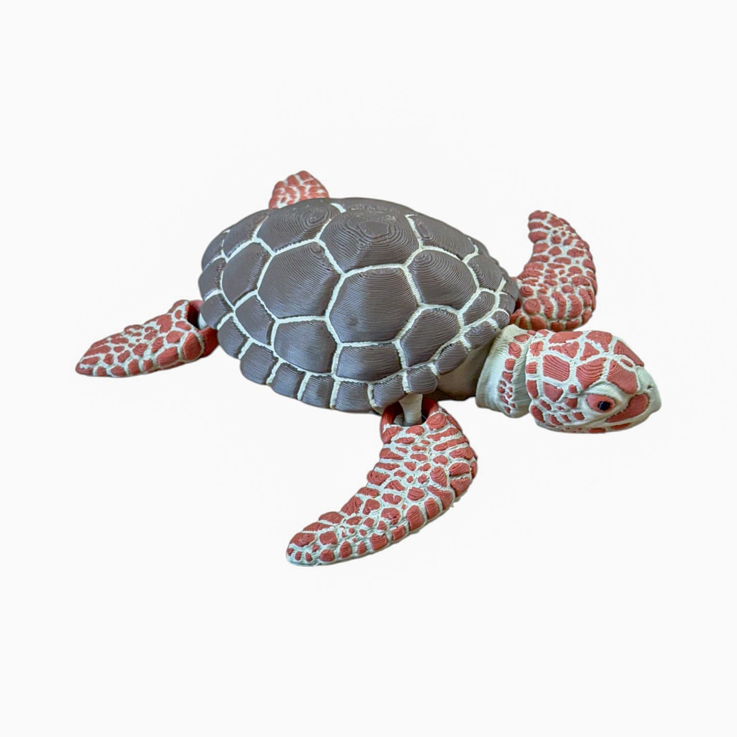 Sea Turtle