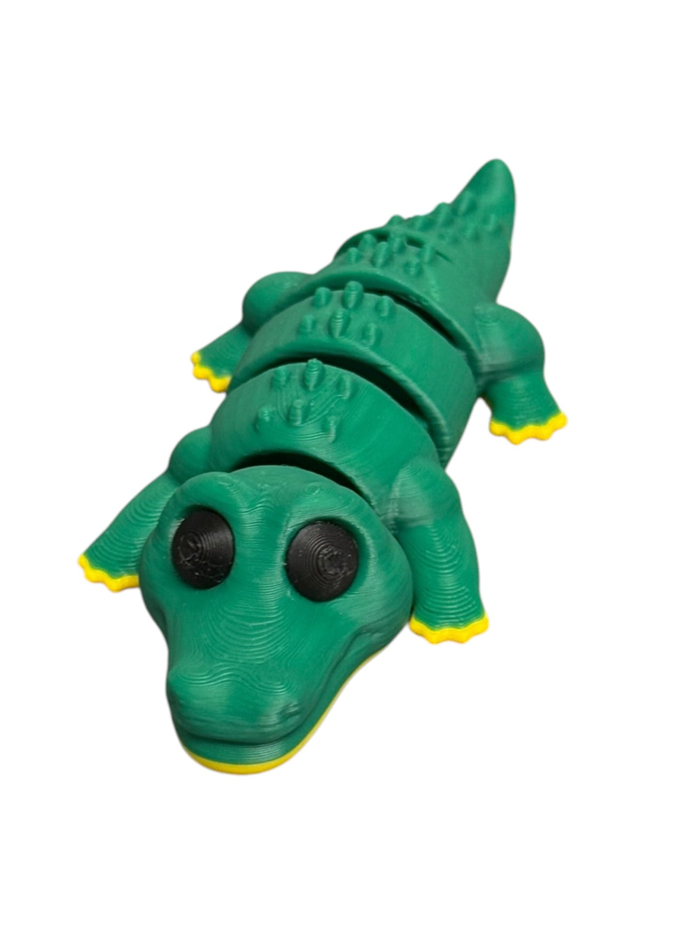 Alligator
