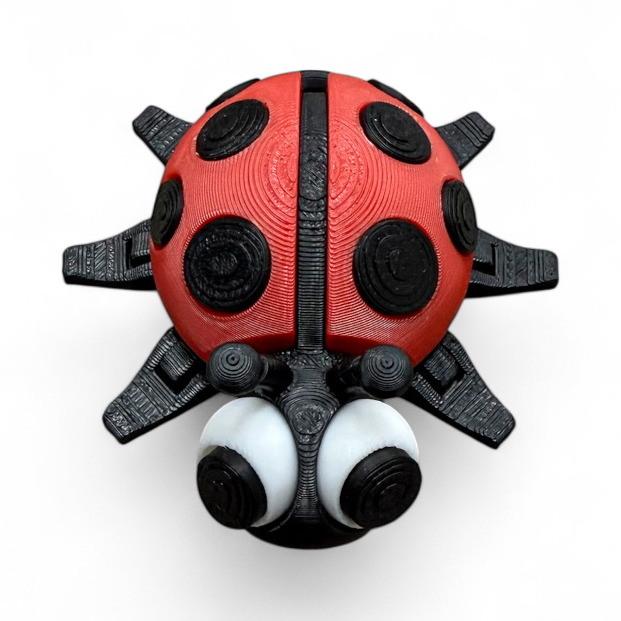 Lady Bug