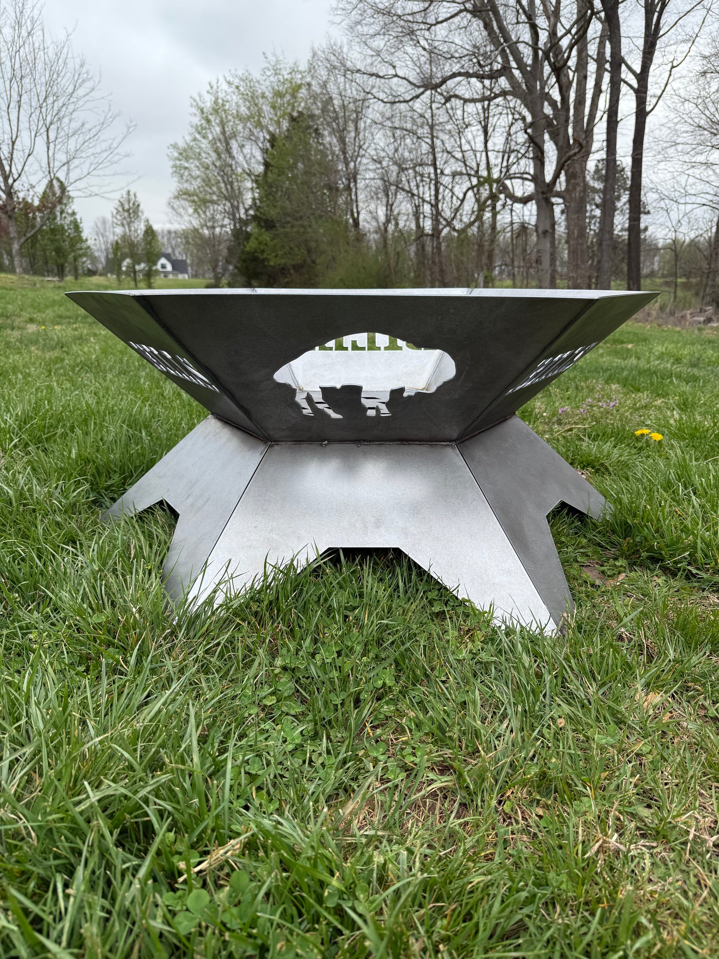 Buffalo Fire Pit