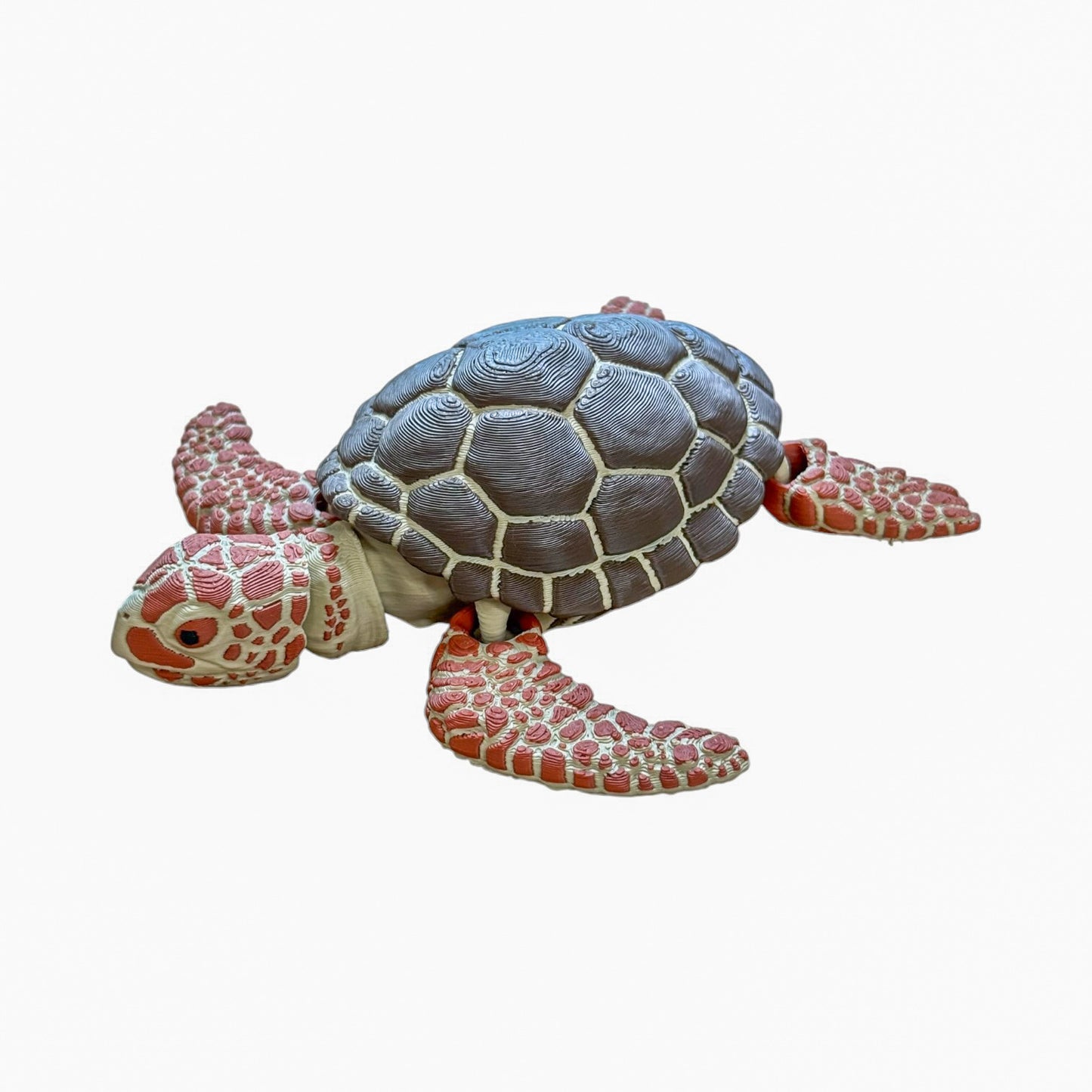 Sea Turtle