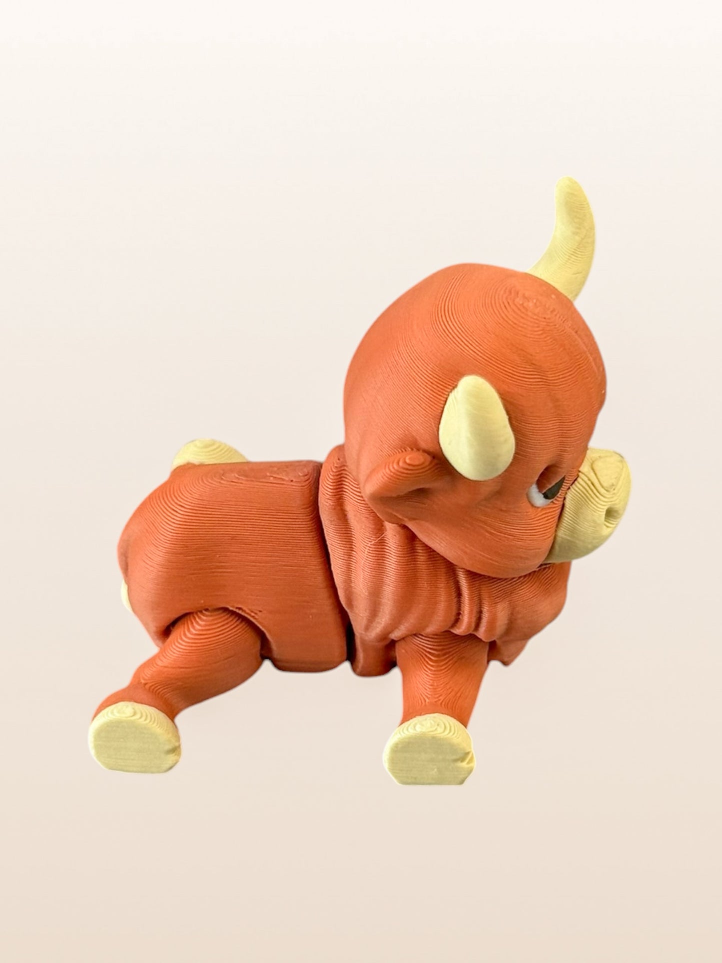 Highland Cow