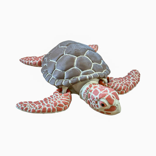 Sea Turtle
