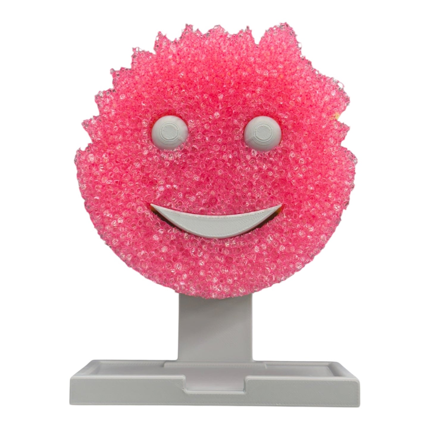 Dish Scrubber Holder