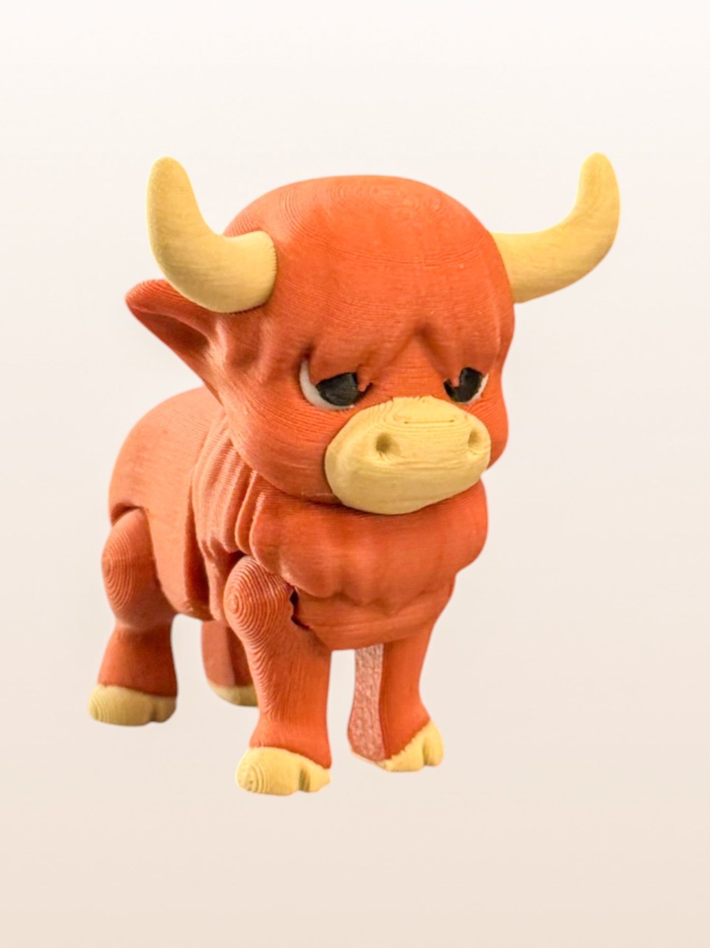 Highland Cow