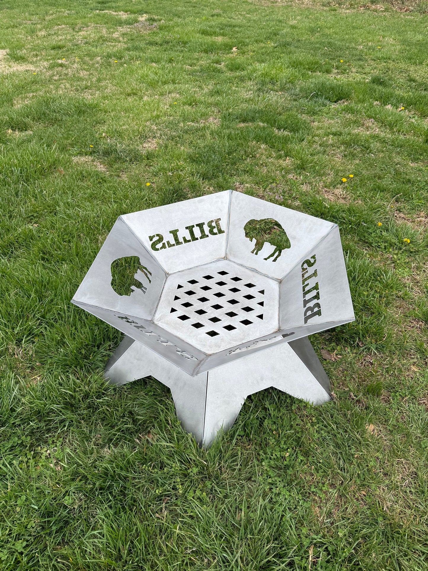 Buffalo Fire Pit