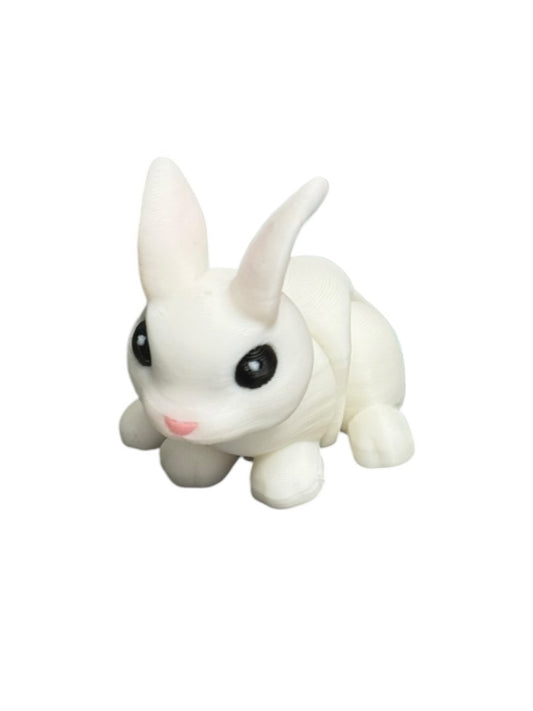 Bunny