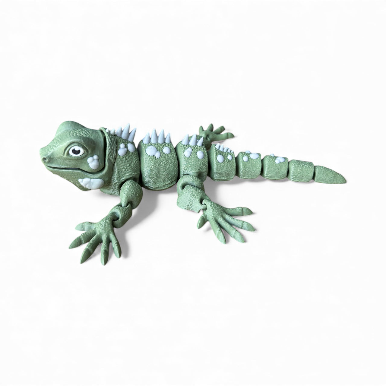 Articulating Iguana