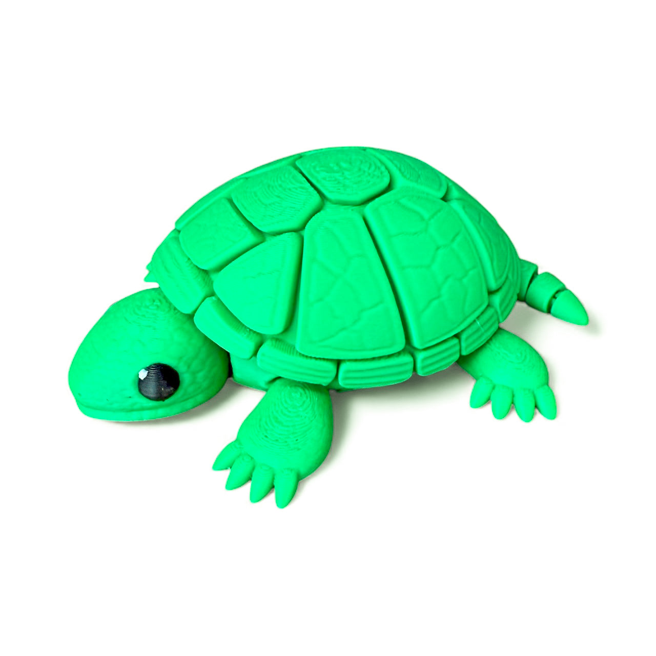 Articulating Turtle